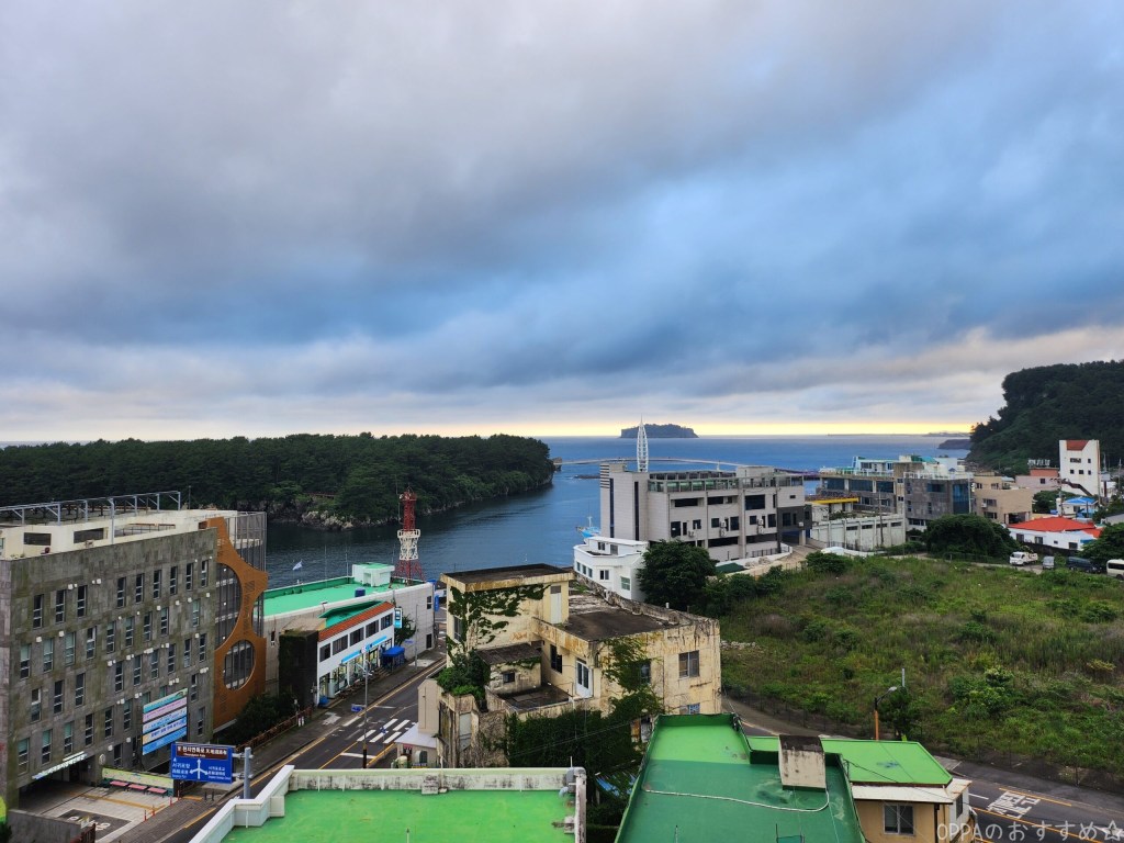 ホテル屋上から見渡す西帰浦港